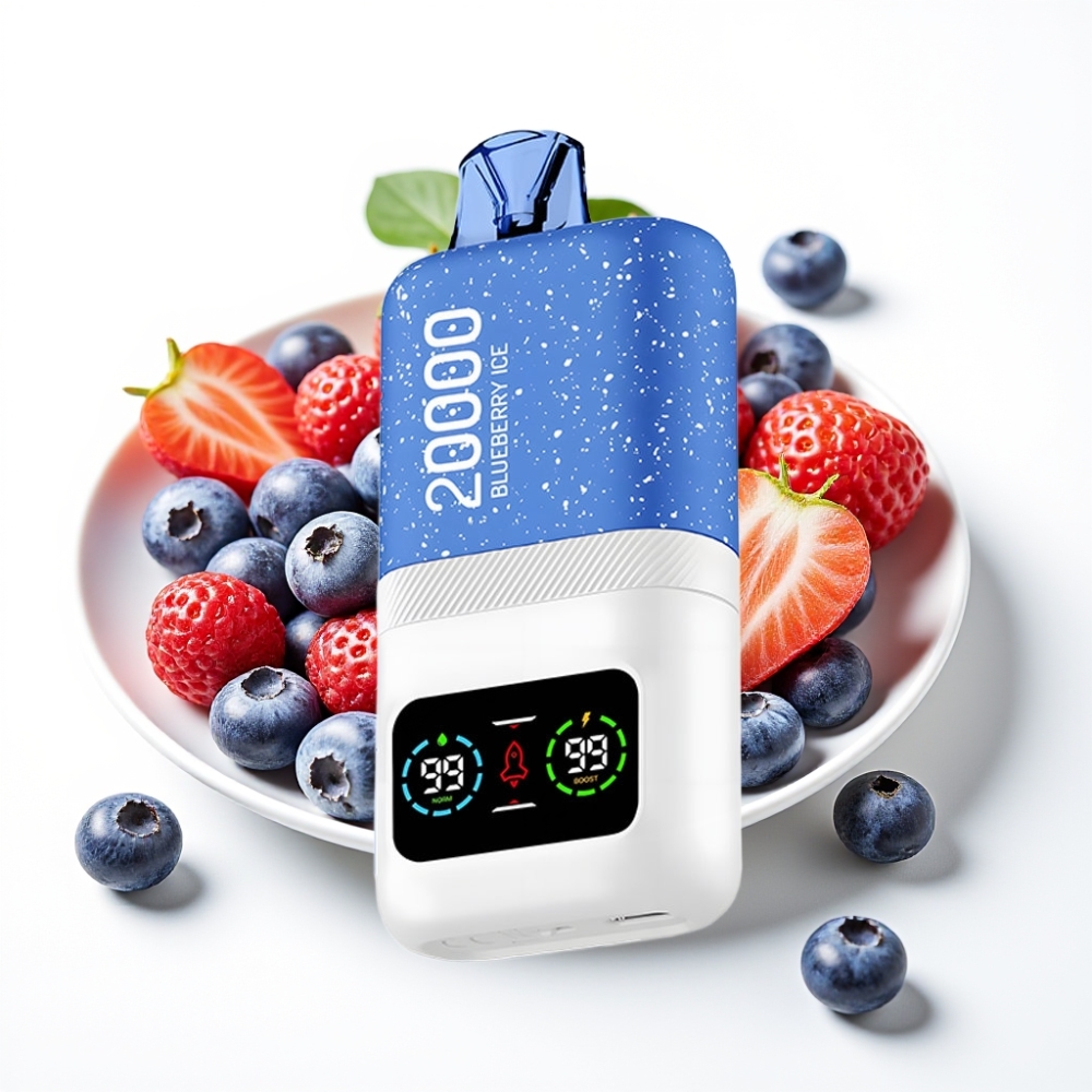 Aivono AIM MAGIC 20000 Puffs Dual Mesh Coils Blueberry ice