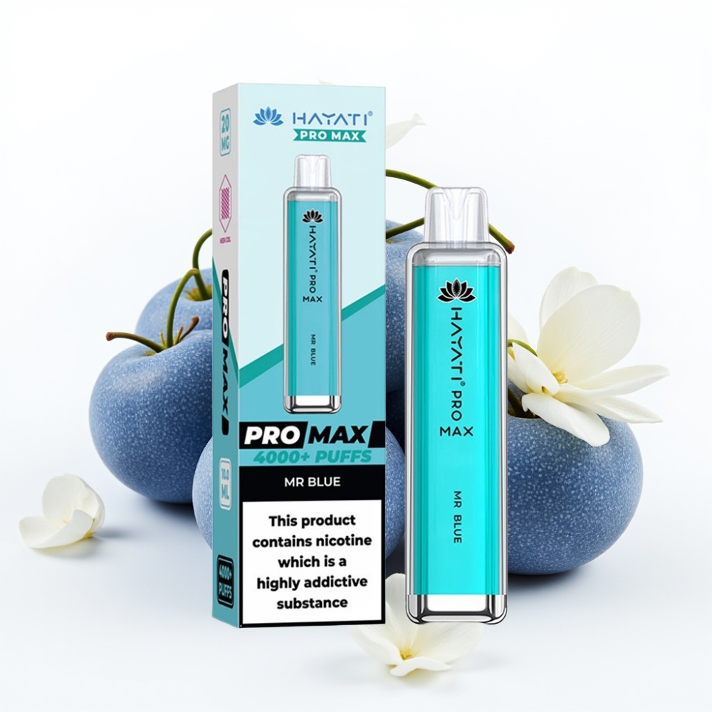 Hayati Pro Max 4000 Puffs Dual Mesh Coil Disposable Vape Mr Blue