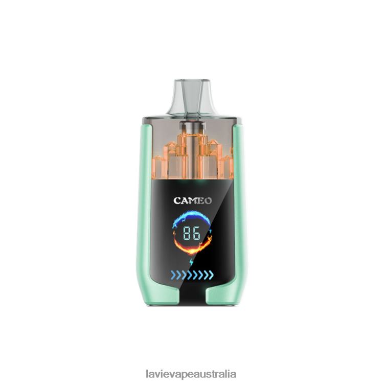 Lavie Disposable Vape - LAVIE CAMEO 30000 Puffs Double Apple D82X420