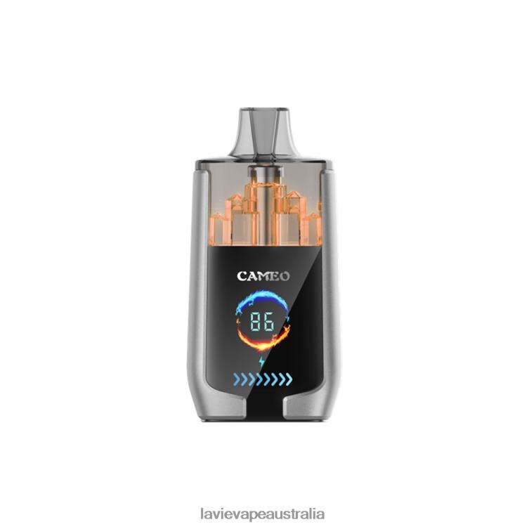 Lavie Vape Australia - LAVIE CAMEO 30000 Puffs Blueberry Ice D82X415