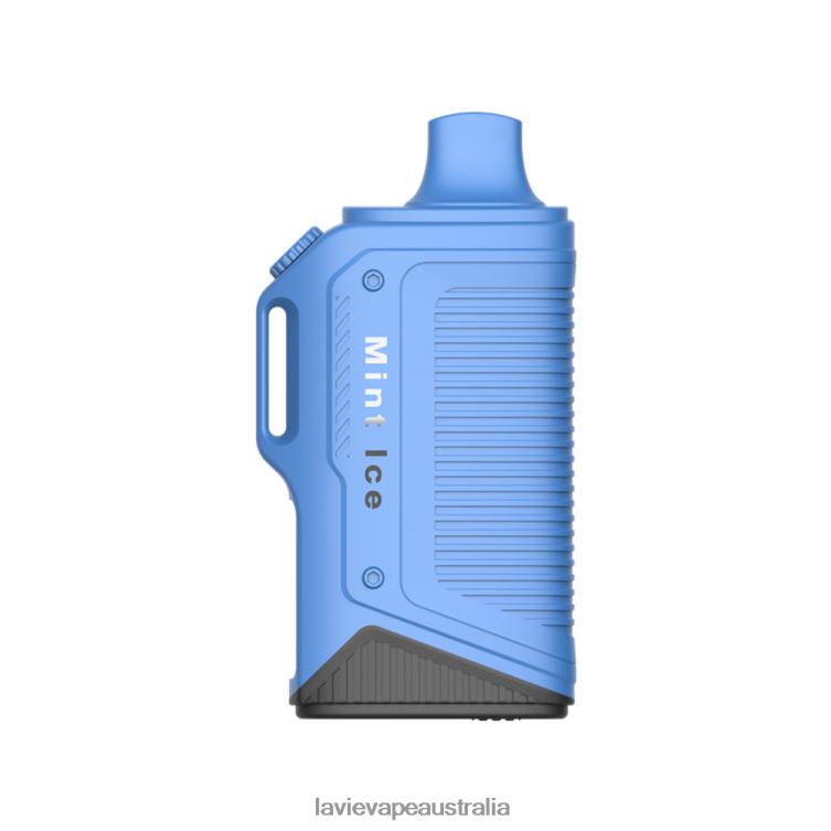 Lavie Vapes - LAVIE Energy Box 15000 Puffs Mint Ice D82X472