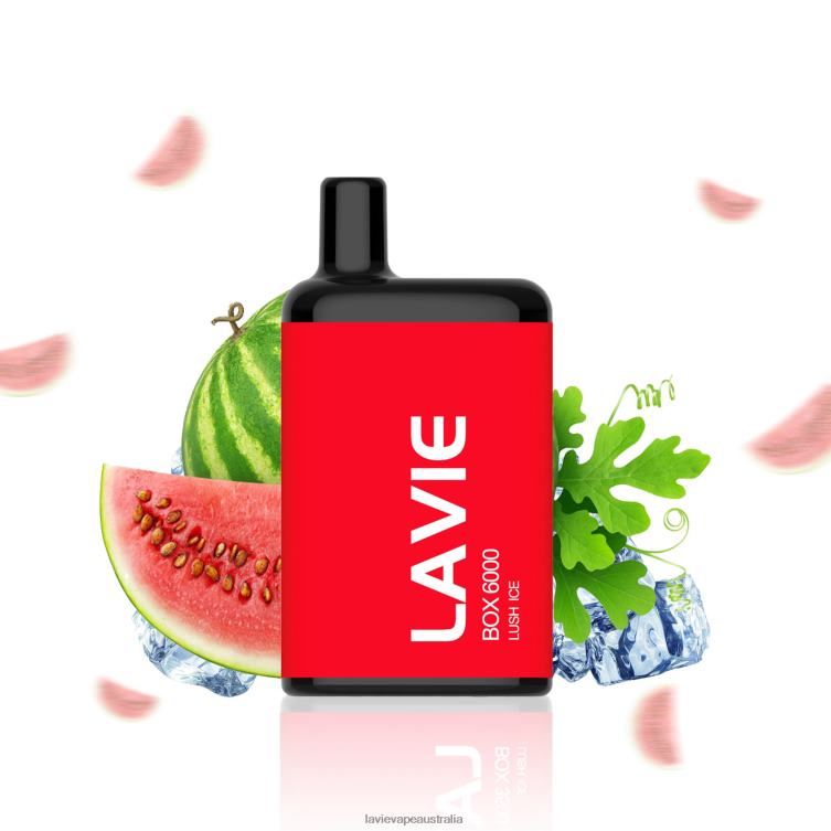 Lavie Vapes Review - LAVIE BOX 6000 Puffs Lush Ice D82X4199