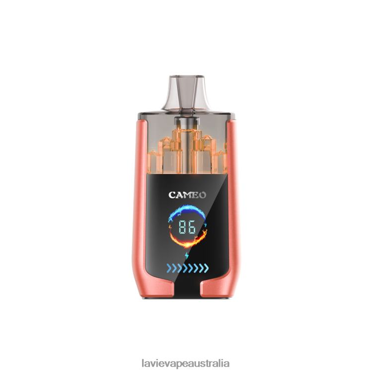 Lavie Vapes Review - LAVIE CAMEO 30000 Puffs Strawberry Watermelon D82X424